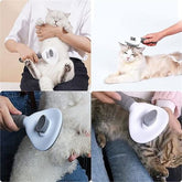 Takaz Global Cuervo Otomatik Temizlenen Kedi Köpek Tarağı